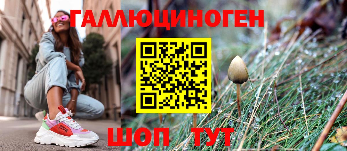 Псилоцибиновые грибы ЛСД Котельники